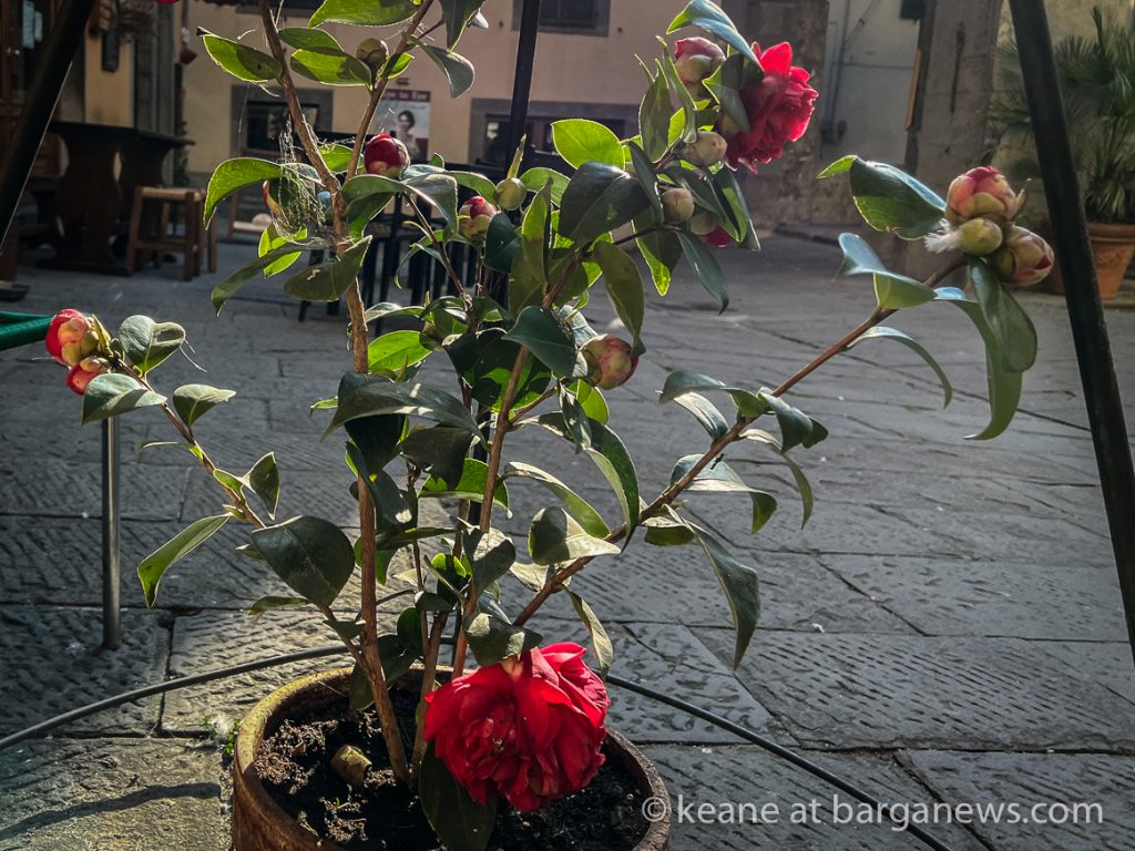 Daily Image from BARGA 22nd March 2022