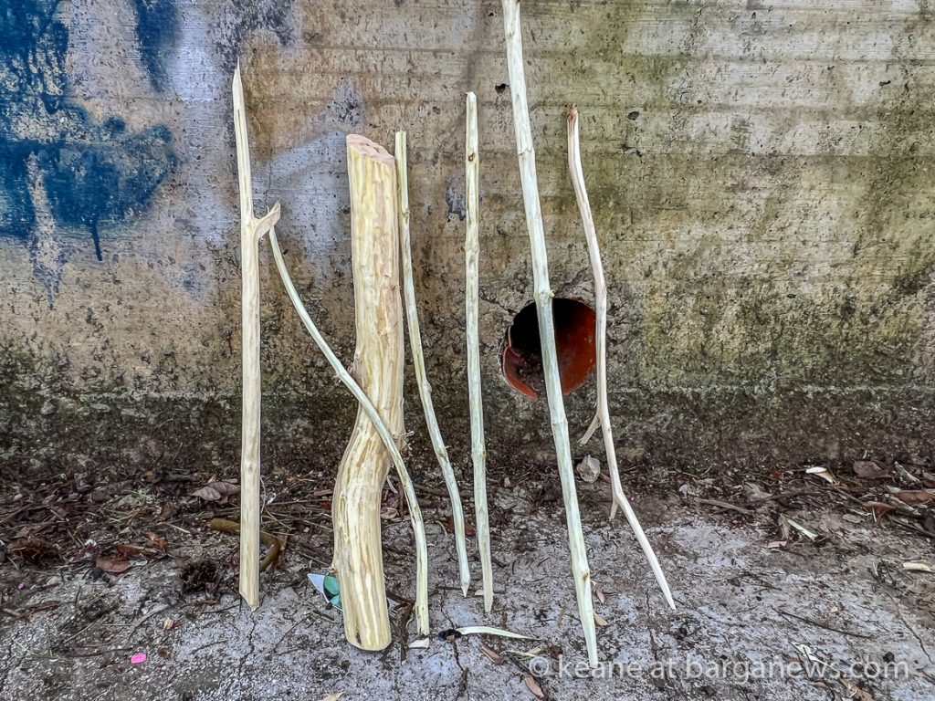 Daily Image from BARGA 23rd March 2022