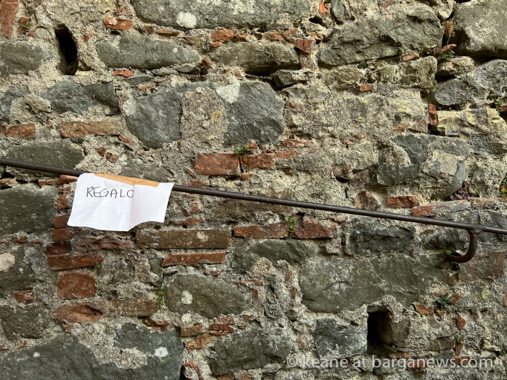 Daily Image from BARGA 29th March 2022