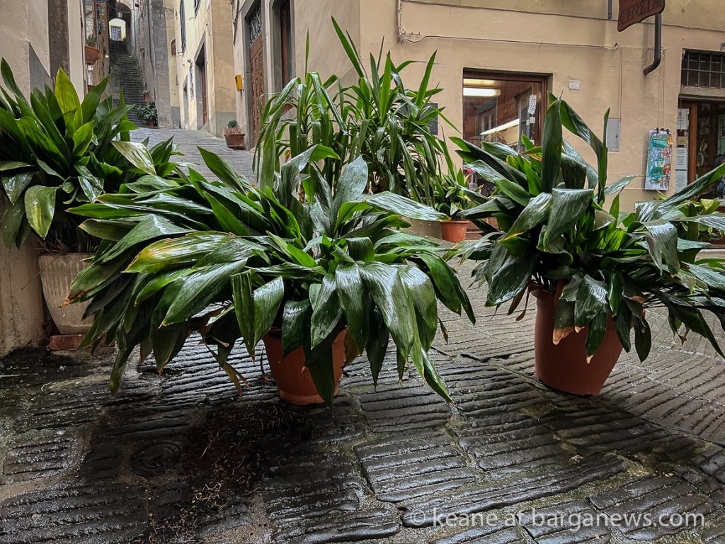 Daily Image from BARGA 31st March 2022