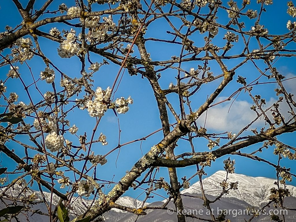 Daily Image from BARGA 7th April 2022