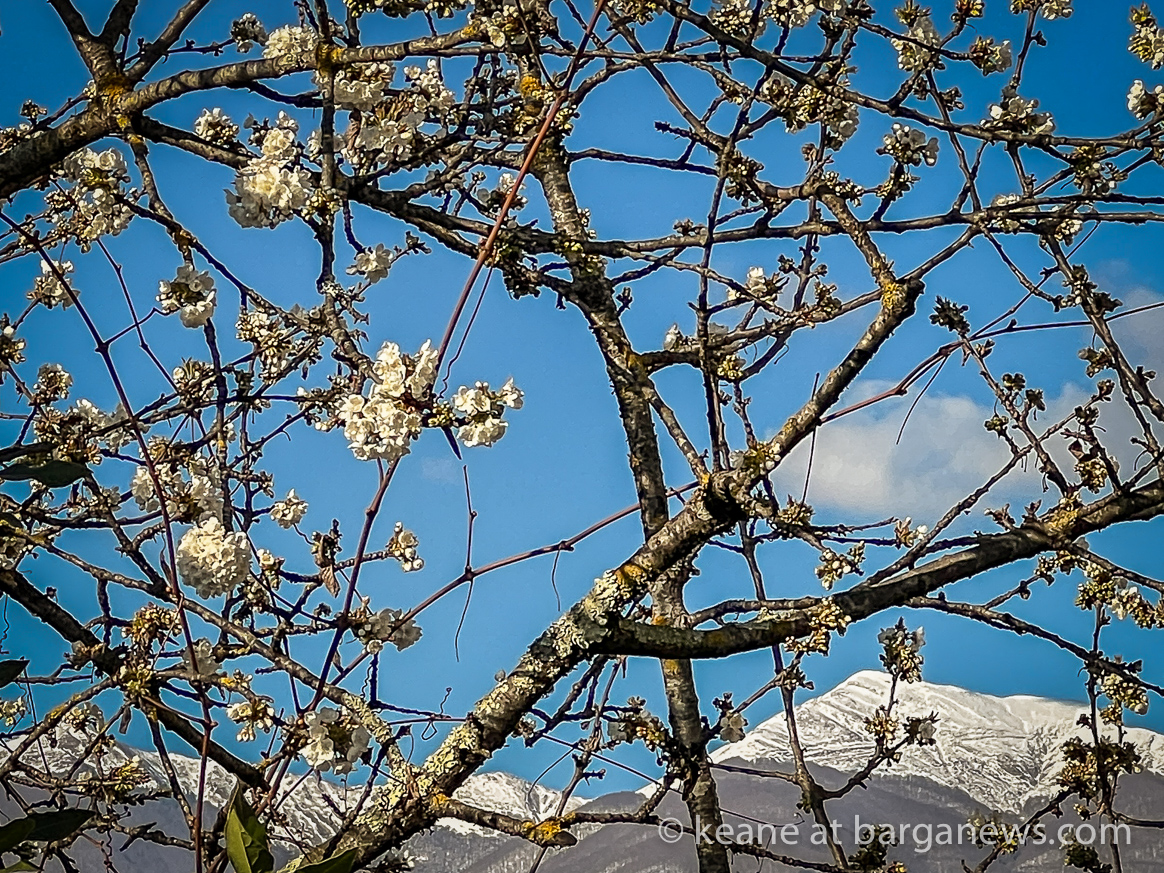 Daily Image from BARGA 7th April 2022