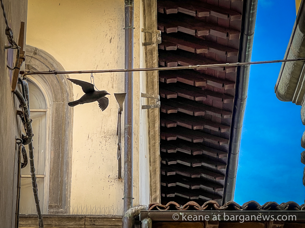 Daily Image from BARGA 8th April 2022