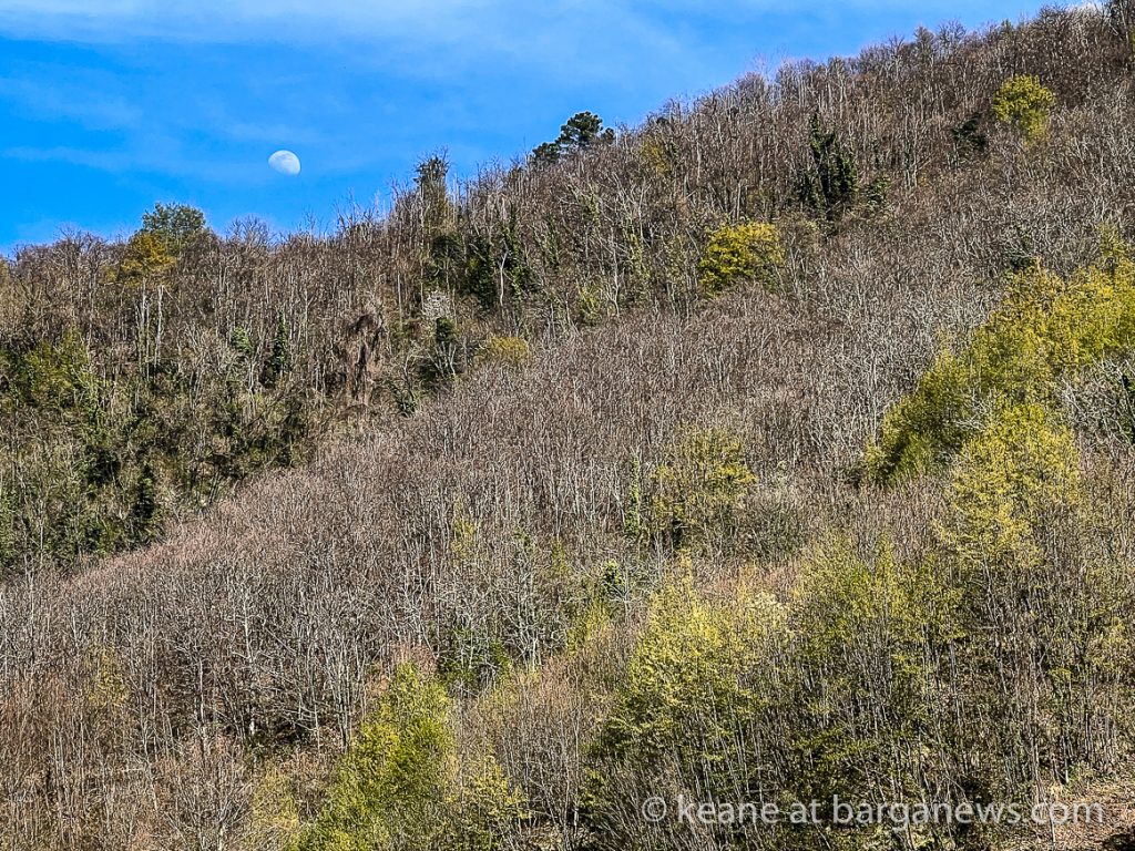 Daily Image from BARGA 13th April 2022