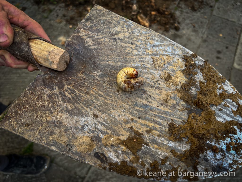 Daily Image from BARGA 14th April 2022