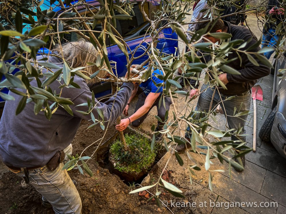 images from barga -42536