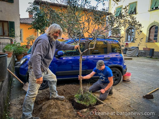 images from barga -42539