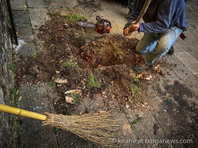 images from barga -42561