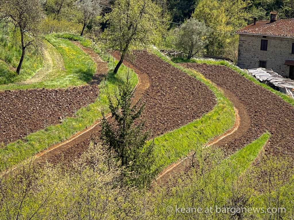 Daily Image from BARGA 18th April 2022