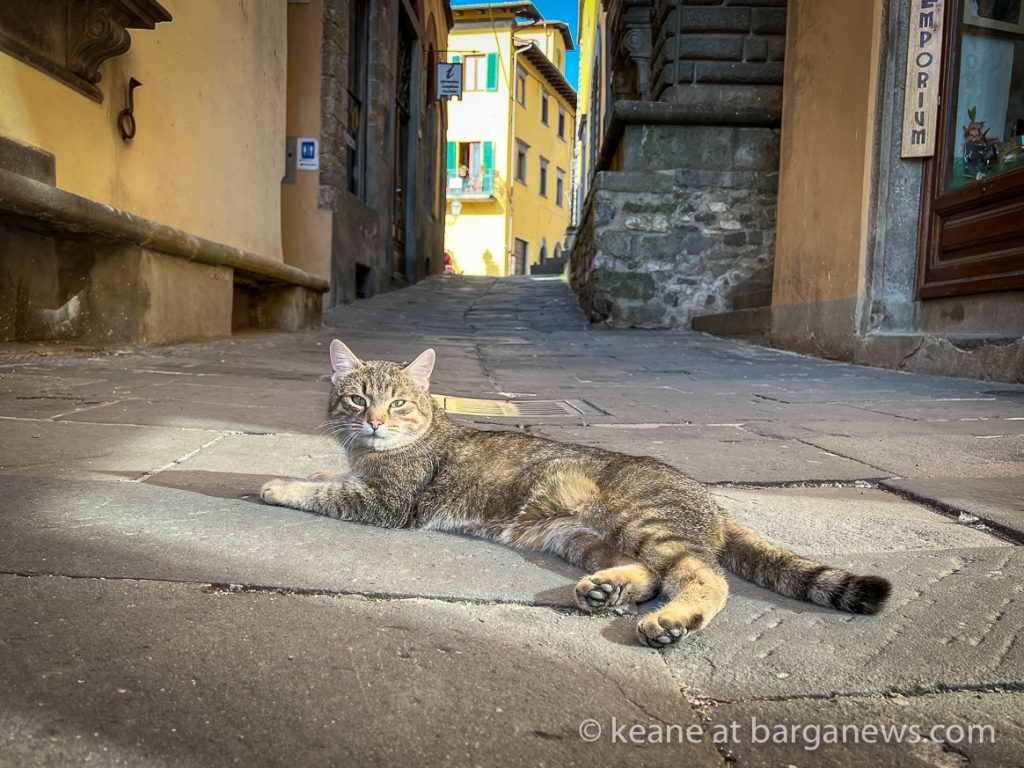 Daily Image from BARGA 19th April 2022