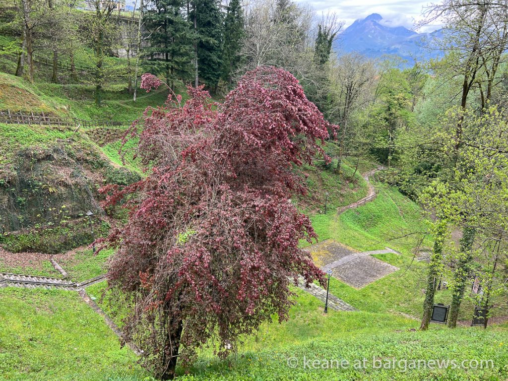 Daily Image from BARGA 23rd April 2022