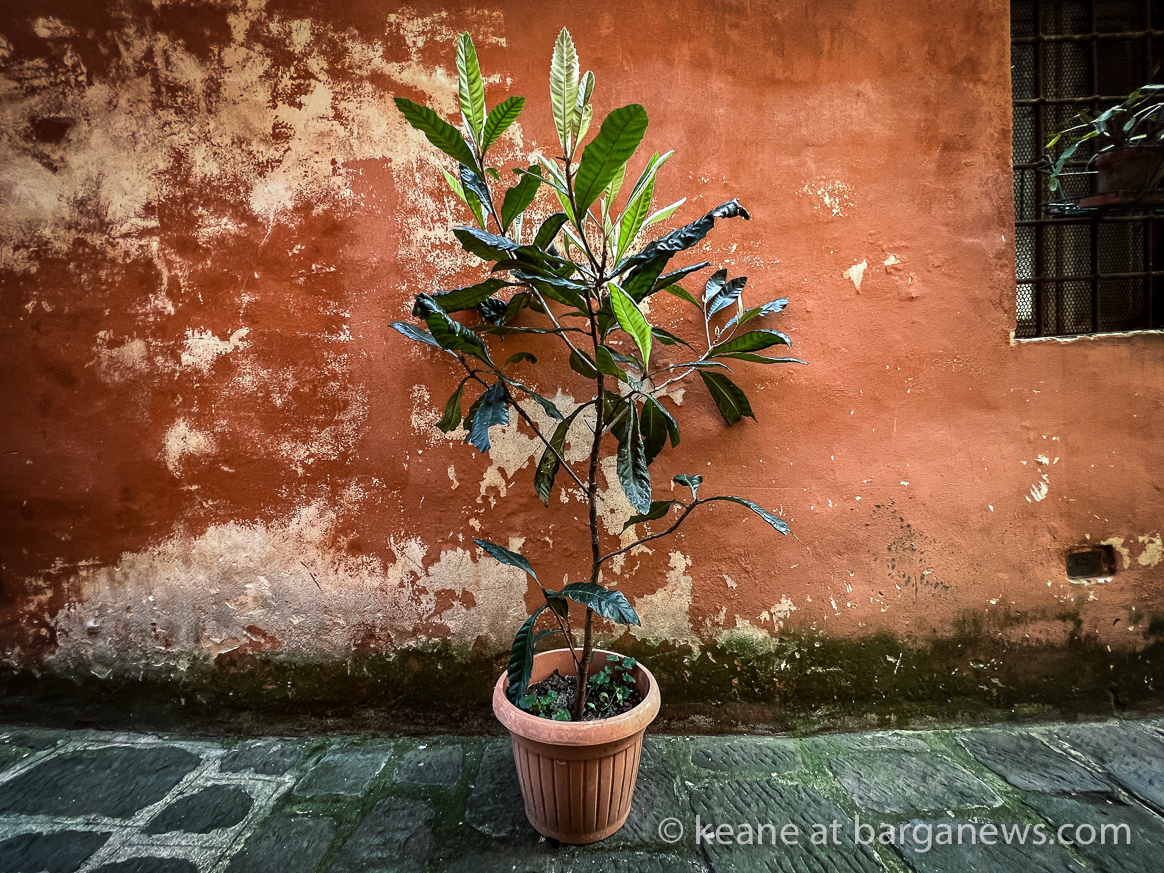 Daily Image from BARGA 3rd May 2022