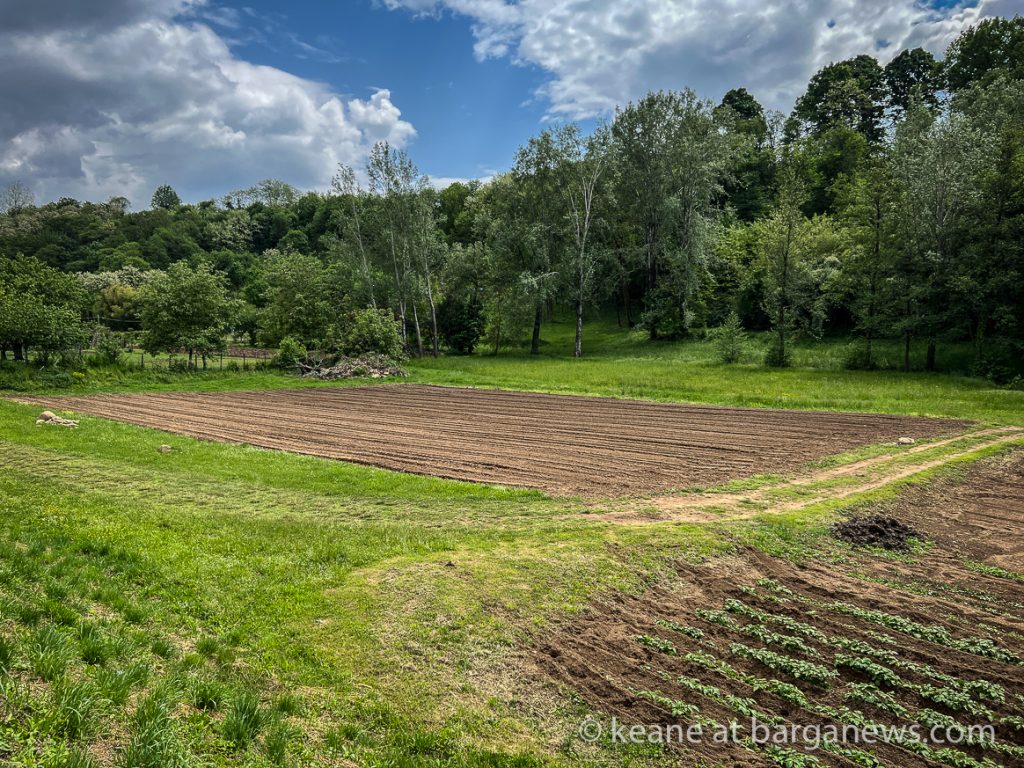 Daily Image from BARGA 10th May 2022