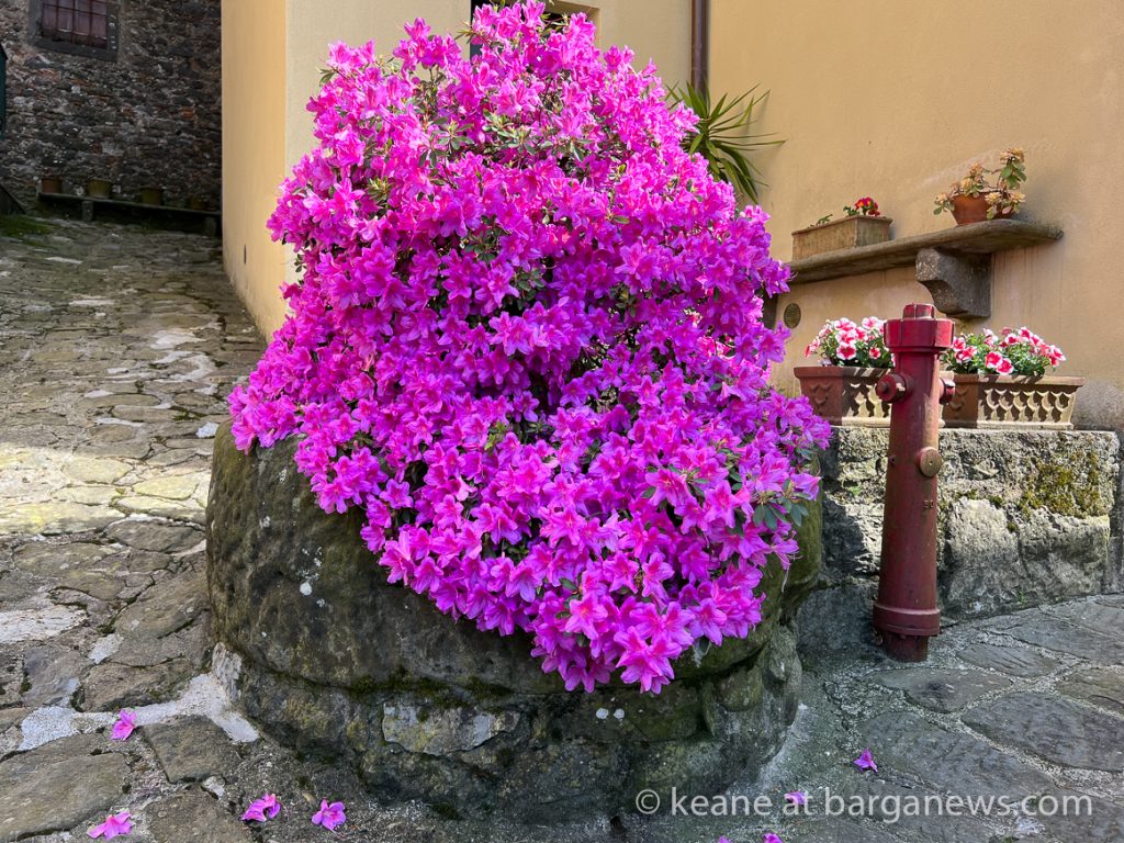 Daily Image from BARGA 17th May 2022