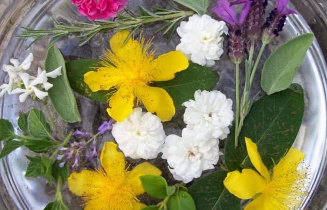 images from barga -11