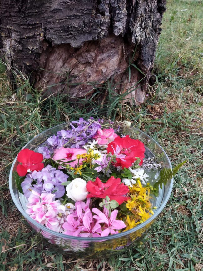 images from barga –11