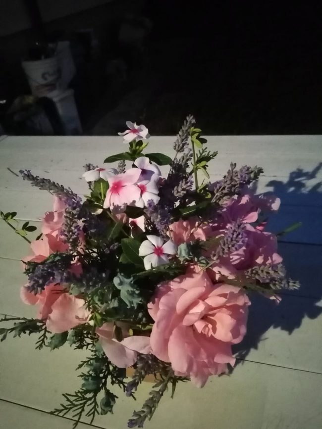 images from barga –13