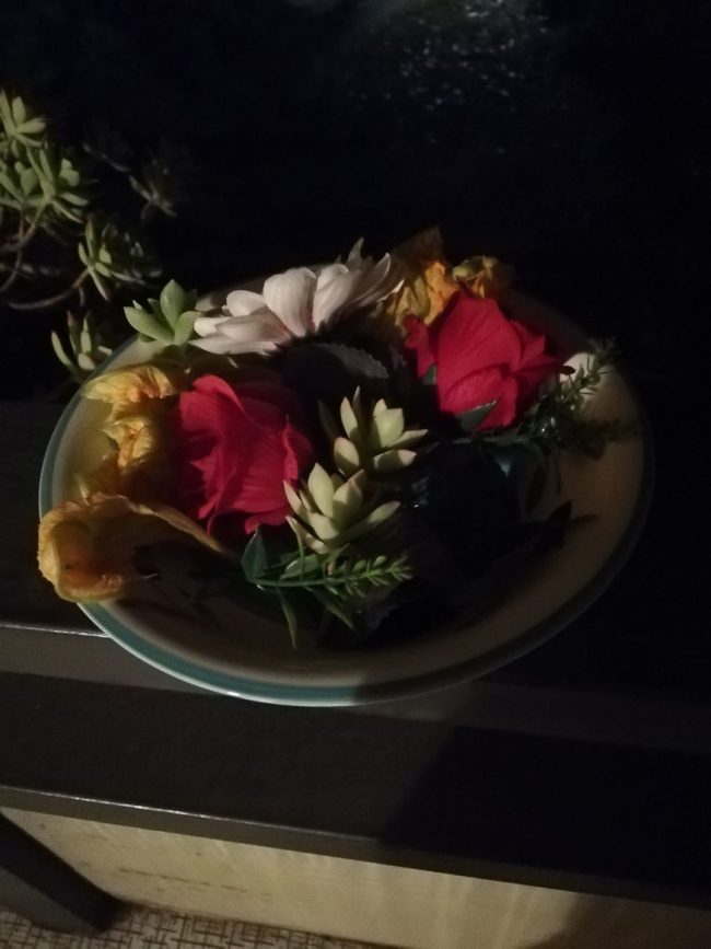 images from barga –15