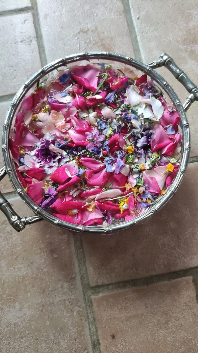 images from barga –17