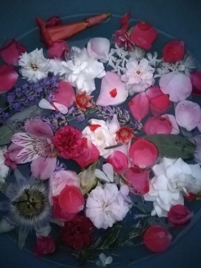 images from barga –18