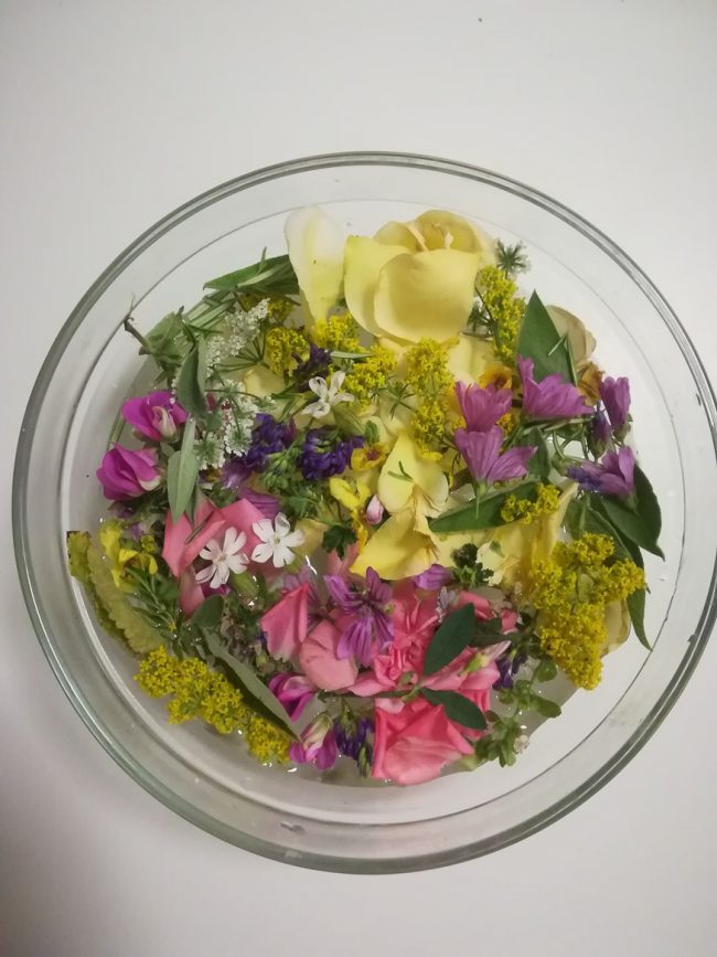 images from barga –2