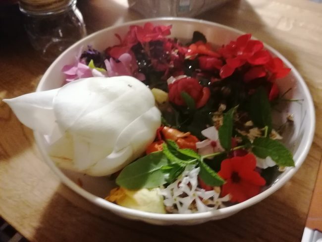 images from barga –3