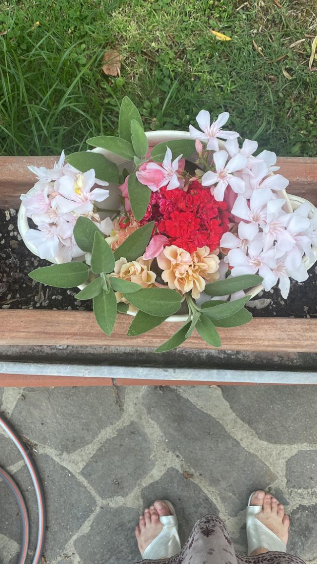 images from barga –4