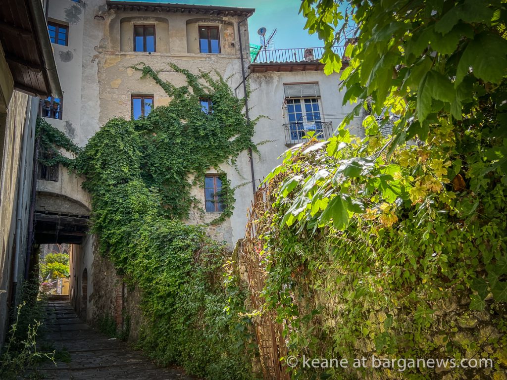 Daily Image from BARGA 20th June 2022