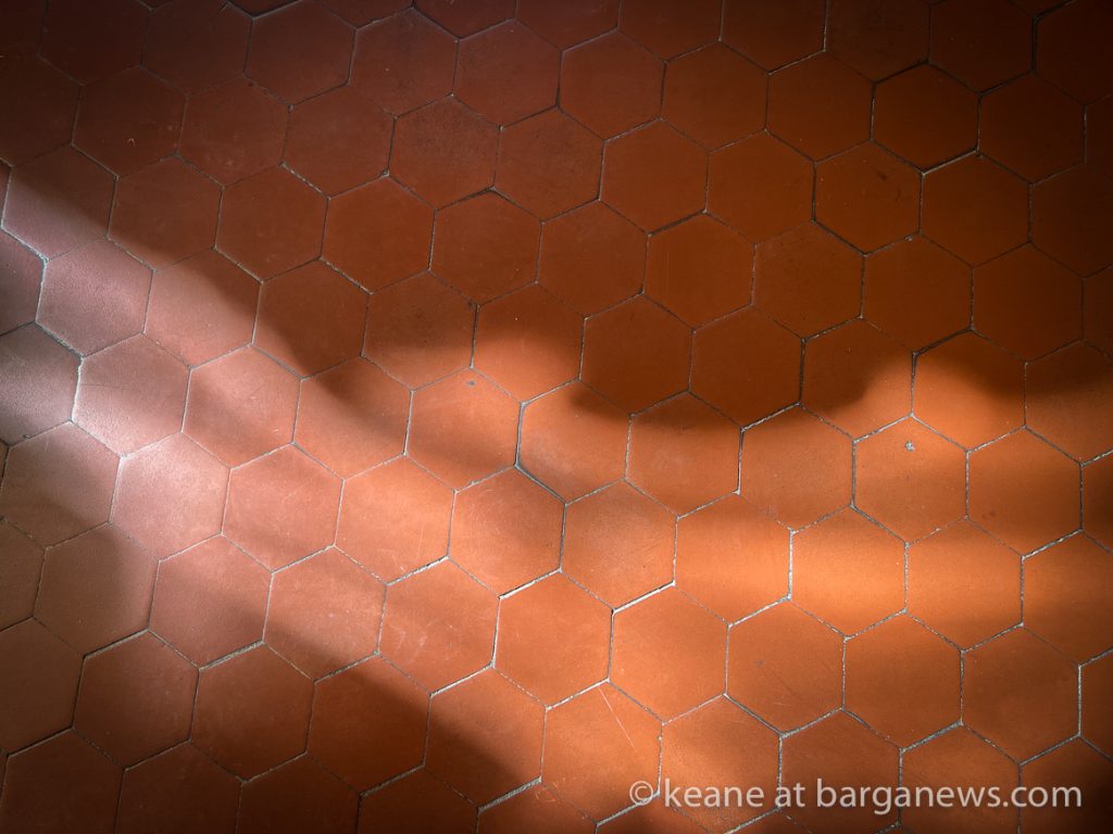 Daily Image from BARGA 16th June 2022