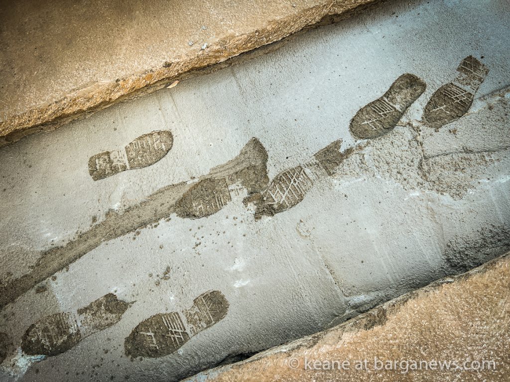 Daily Image from BARGA 15th June 2022