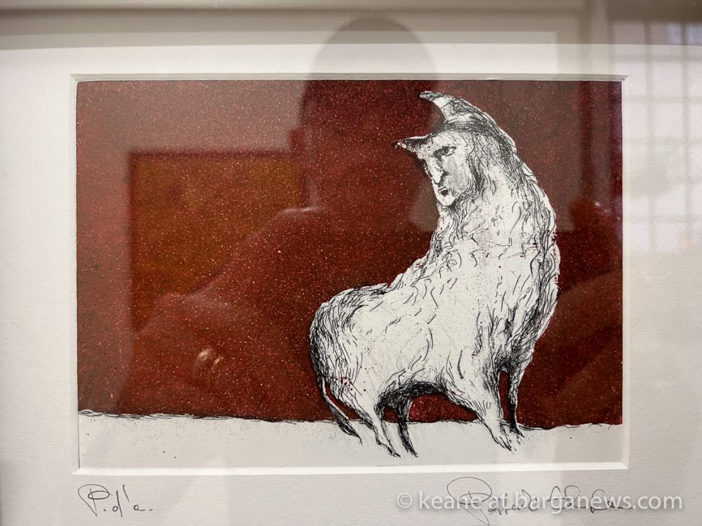 images from barga -46195