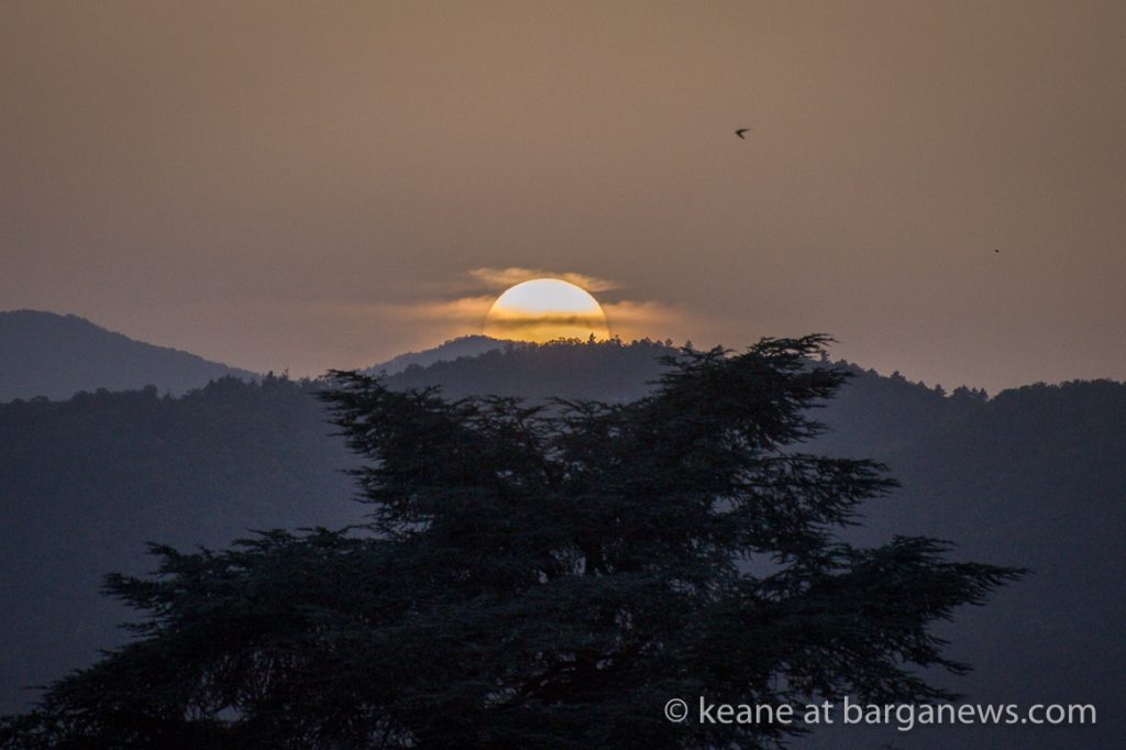 Daily Image from BARGA 28th June 2022