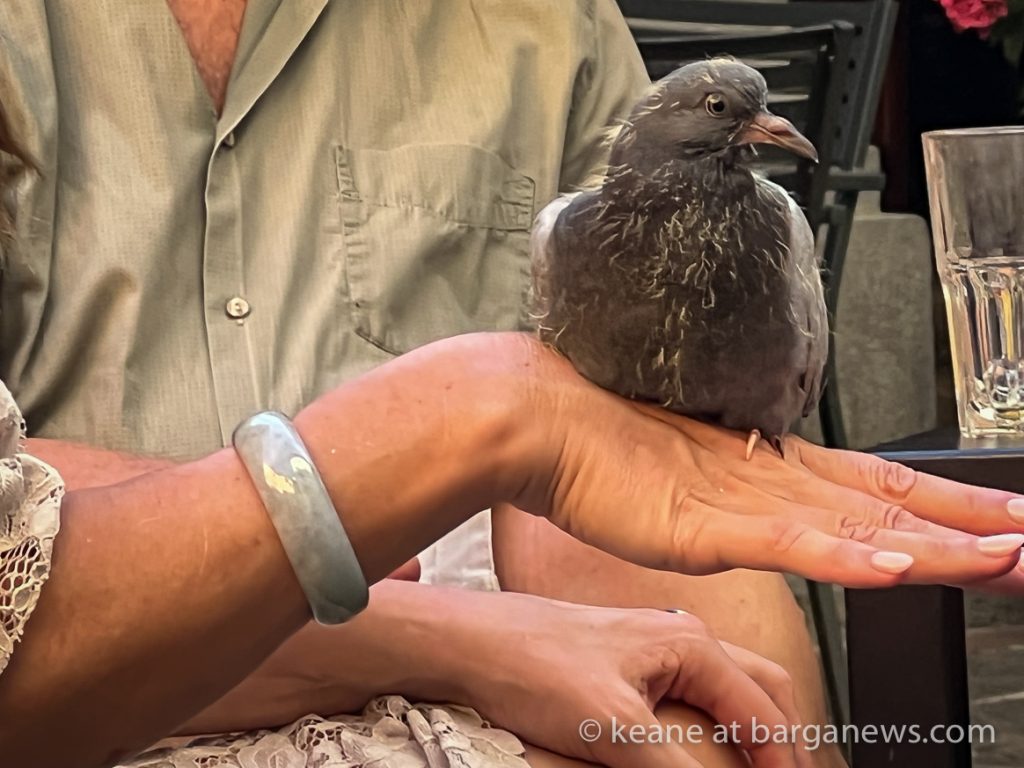 Daily Image from BARGA 30th June 2022