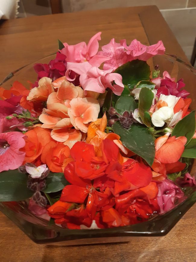 images from barga –5