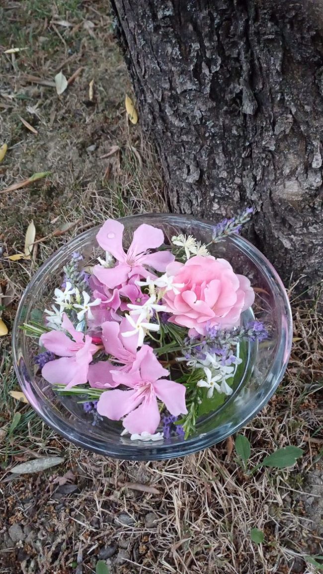 images from barga –6