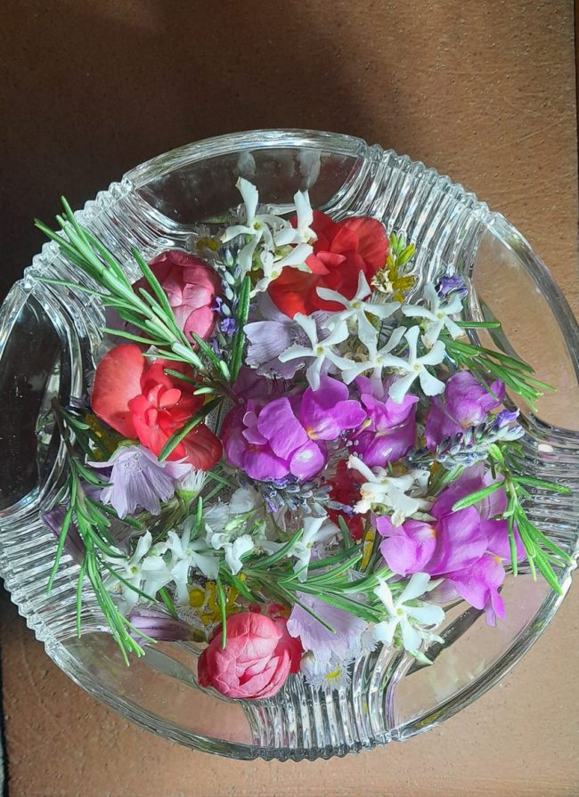 images from barga –7