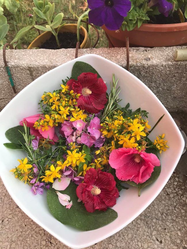 images from barga –8