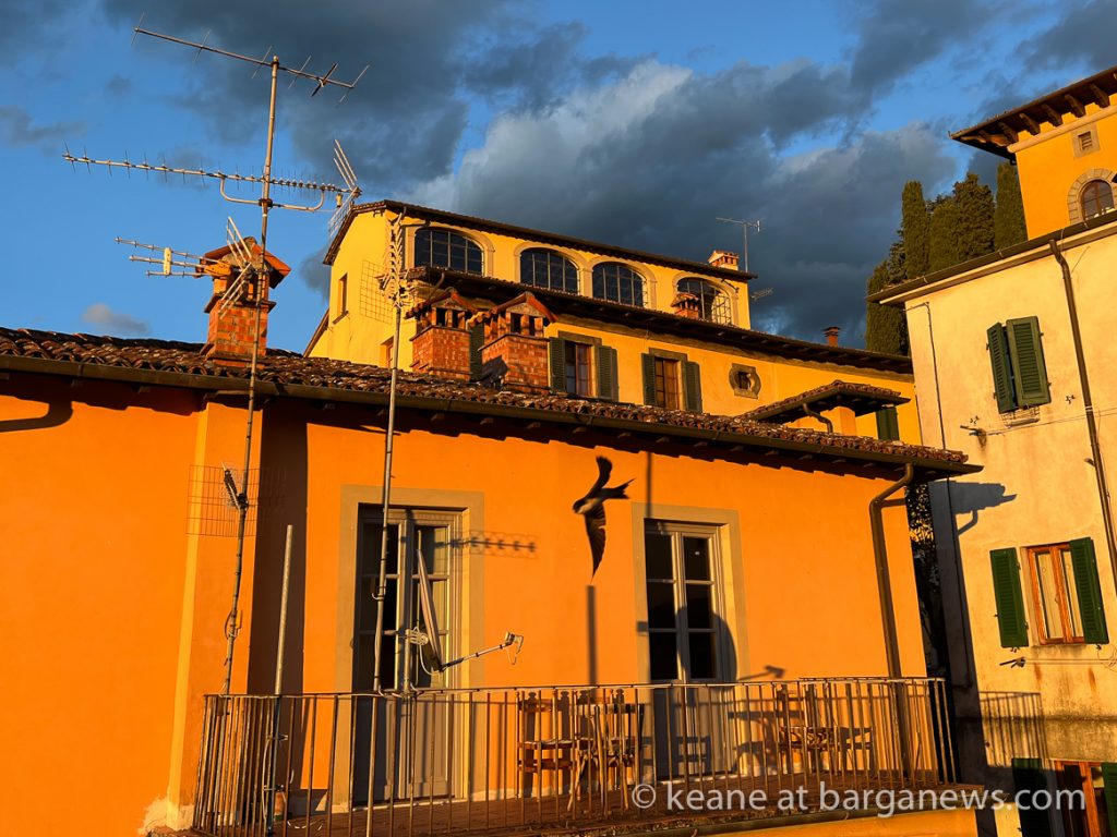 Daily Image from BARGA 12th June 2022