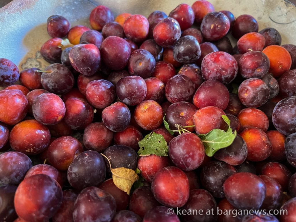 Daily Image from BARGA 3rd July 2022