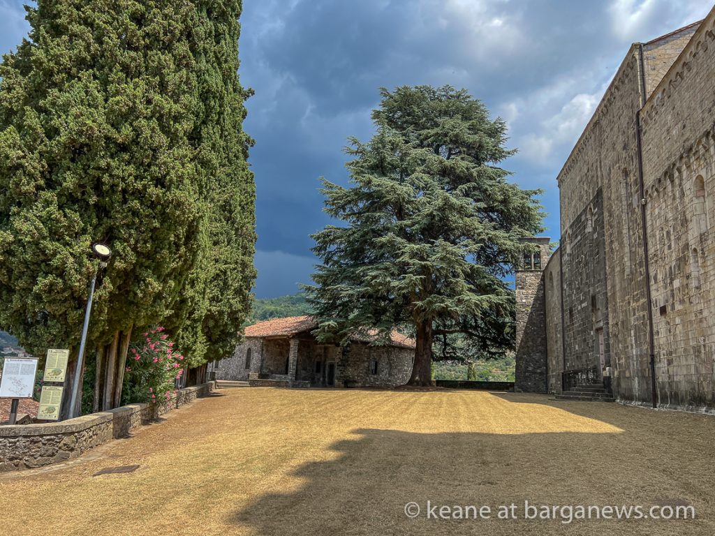 Daily Image from BARGA 7th July 2022