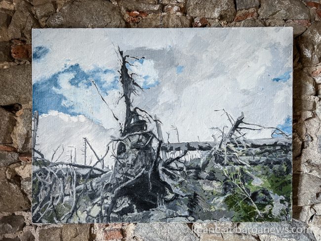 images from barga -47636