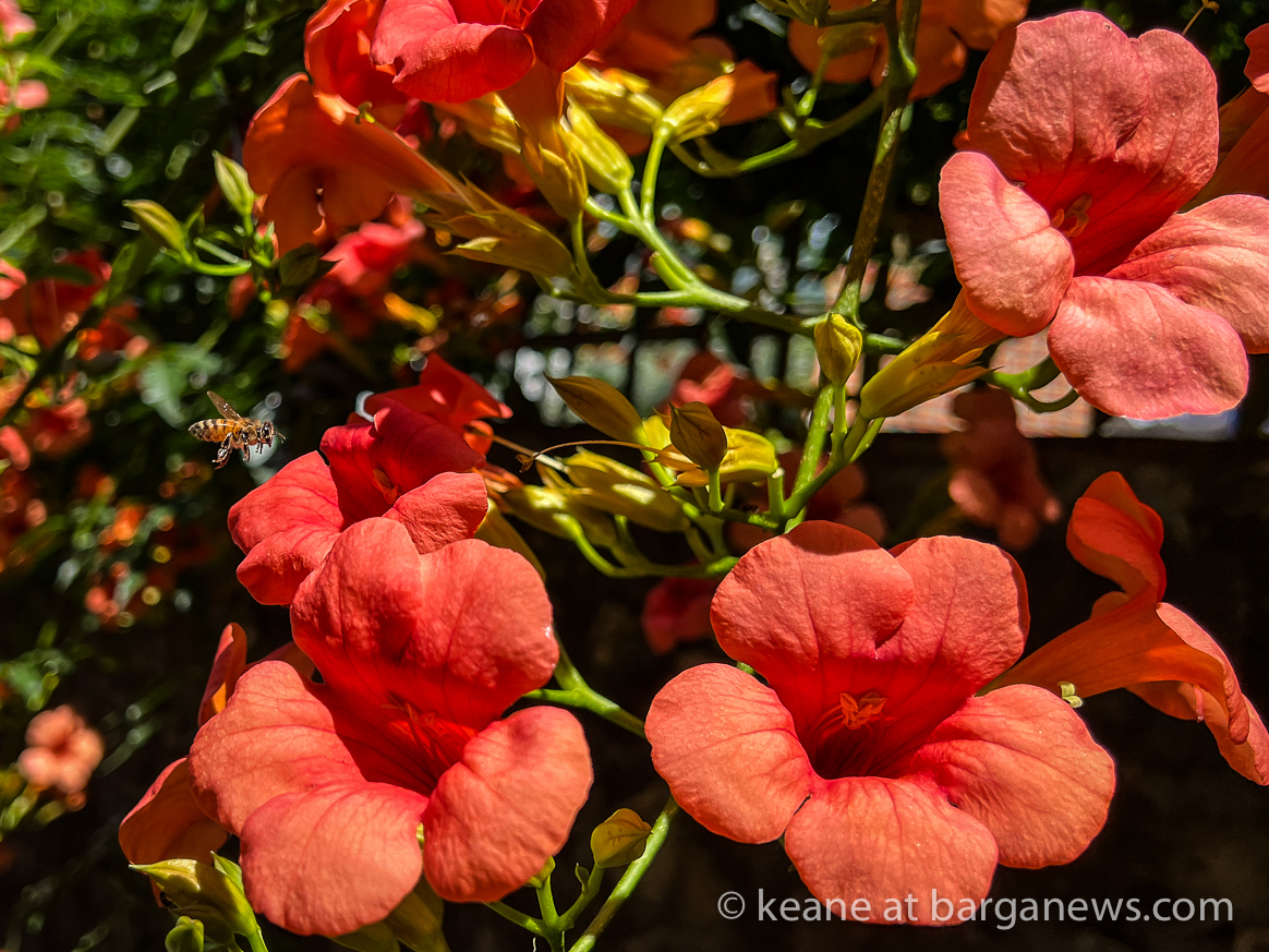 images from barga -47833