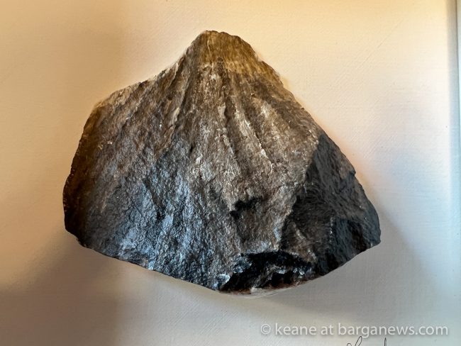 images from barga -48161