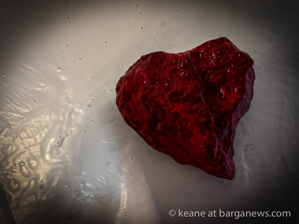 Mara Torre exhibition in Barga Vecchia