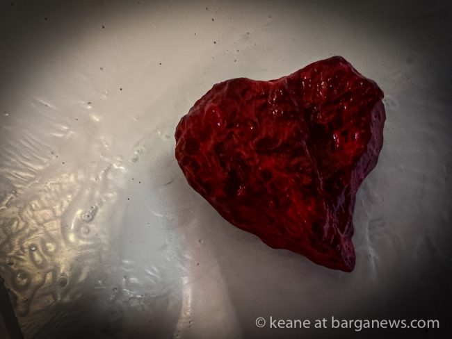 images from barga -48162