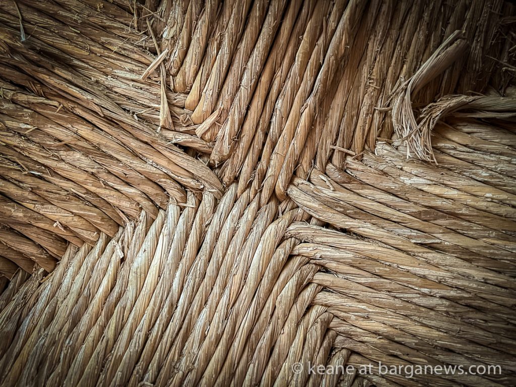 Daily Image from BARGA 29th July 2022