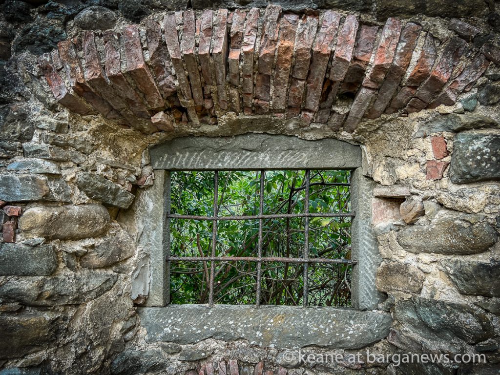 Daily Image from BARGA 8th August 2022