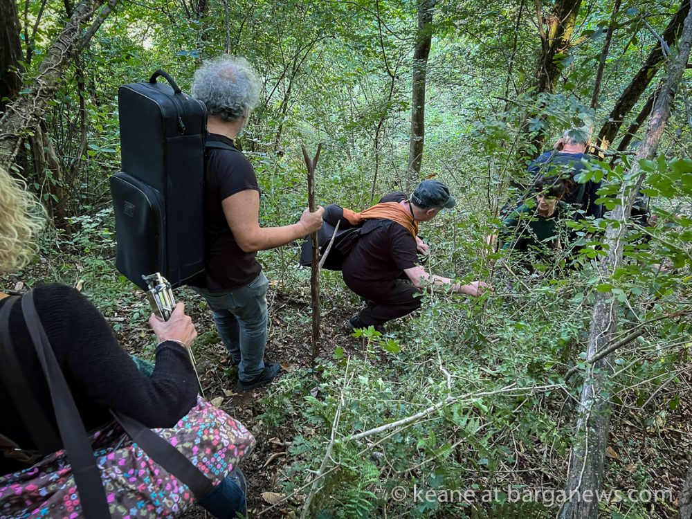 images from barga -50989