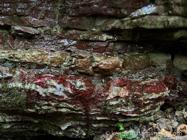 images from barga -50998