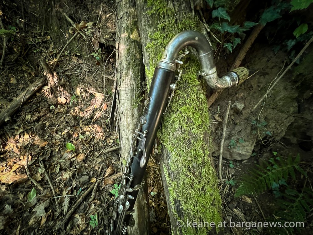 images from barga -51032